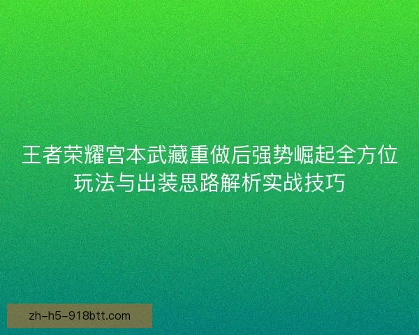 王者荣耀宫本武藏重做后强势崛起全方位玩法与出装思路解析实战技巧